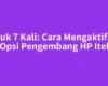 Ketuk 7 Kali: Cara Mengaktifkan Opsi Pengembang HP Itel